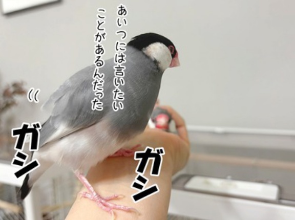 理不尽な大乱闘