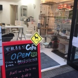 『明日オープン』の画像