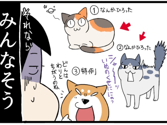 幼児に「されるがままに二つ折り猫」の献身