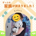 WanWan net🐾ボランティアチーム