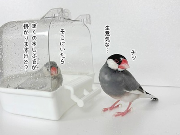 不毛な争いをご覧ください