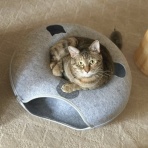 も～さんの隙あらば自分語り