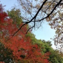 食べ物以外で秋冬を楽しもう