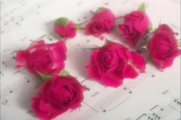 混声合唱団 アダージョの日記 ユーチューブ 動画 音声