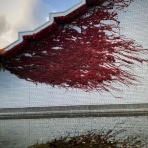 空もよう、心もよう ～ sora koko.