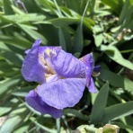 MUSIC MAKES US HAPPY!