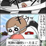 「99日生き残る」のその後