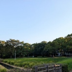 自然体で行こうじゃないか！