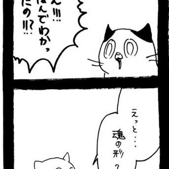 選挙に出馬しよう78