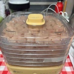 メルロコ一家の横須賀ストーリー