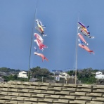 ワンちゃん☆ママン奮闘記