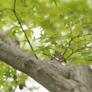 ■お昼休みのカメラ散歩