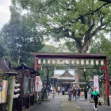 『グラ始め』の画像