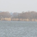 ３月１９日の情報