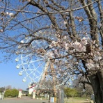 東武動物公園の花と自然（公式ブログ）