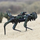 第1空挺団 降下訓練始め【NYJIP2026】