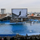 ディープな愛知散策－周遊観光パスポートで巡る⑧