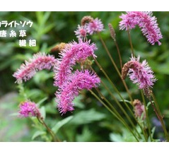 暦‐2026年8月10日