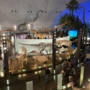 福井県立恐竜博物館 その２