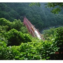 黒部峡谷鉄道宇奈月駅周辺を徘徊