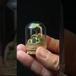 『小さいホビットの家のミニチュアがめっちゃ小せぇ』の画像