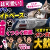 【これは可愛い】ガンプラのホワイトベースに猫がくつろぐ動画、可愛すぎてガンダム民が大歓喜ｗｗｗ