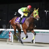 『【遠征馬情報】船橋競馬場・ブルーバードカップ〔JpnⅢ〕にホッカイドウ競馬から2頭参戦!』の画像