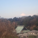 玉ネギ草取りと追肥