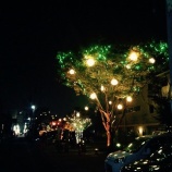 『イルミネーション』の画像