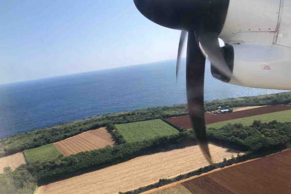 あゆ姫食い倒れ放浪記 沖縄離島 南大東島放浪記