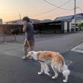 ツバメの巣が、、、(T_T)