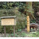 珍布峠（めずらし）へのツーリング