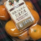 雨でかなり暖かい♪