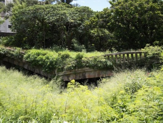 旧天願橋2