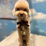 ペットショップワンラブ ドンキホーテ西宮店のスタッフブログ