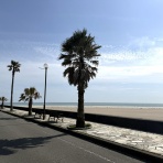 房総の不動産会社 エンゼル不動産房総店リゾート日記