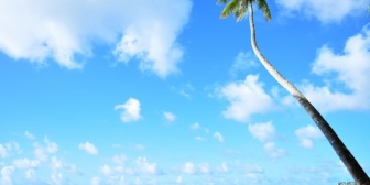 何十回もハワイに行っているという大のハワイ好きの彼。いざ一緒にハワイに行ってみると…