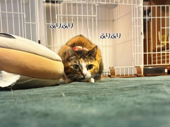 なんかありがたい。久々に見た♪