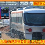 湘南色の部屋（Shonan-color train）