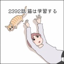 あんこ＆麦2392 猫は学習する