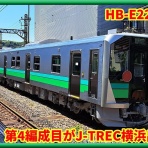 湘南色の部屋（Shonan-color train）