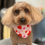 滋賀県　甲賀市　ワンラブ　カインズ甲賀店　ブログ