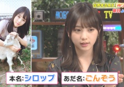 【衝撃】ちょ、マジ?!与田祐希、ペットに「本名」と「あだ名」の両方を付けるｗｗｗ