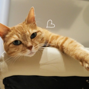 フリマ出店も楽じゃない…