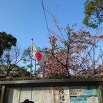 夫婦スポーツ観戦記！