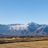『カマキリとカメムシ。どっちが当たるか…。』の画像