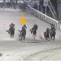 フェブランシェ　スパーキングレディーカップ（Jpn3）　優勝！