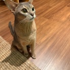 お気に入りのおもちゃが出てこない時の、ちょっと不満げなわか坊