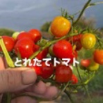 はかりびと　測量日記　＾＾