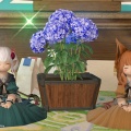 【FF14】アルマ・コスチュームセットをお誕生日プレゼントしてお揃いヾ(〃^∇^)ﾉ【FFXIV】